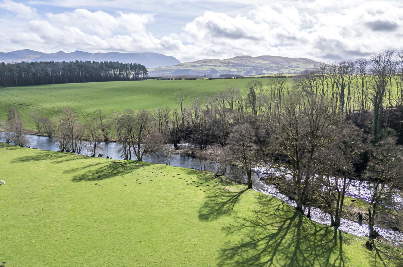 Simonscales Lane, Cockermouth Grisdales